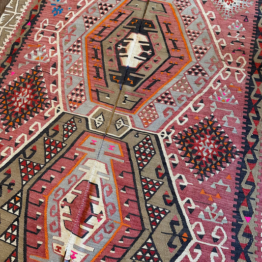 Tiger - 316cm x 157cm