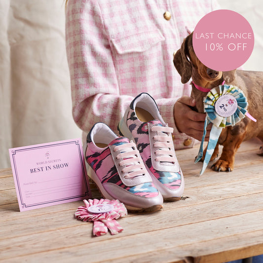 Pink Rangers - Mighty Morphin Trainers